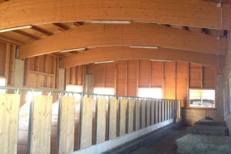 Holzbau für landwirtschaftliche Gebäude mit glänzenden Holzoberflächen und breiten Ställen.