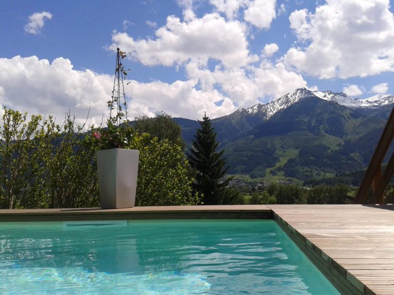 Blick auf einen Pool mit Bergpanorama und Pflanzen im Pinzgau, Umgebung von Piesendorf.