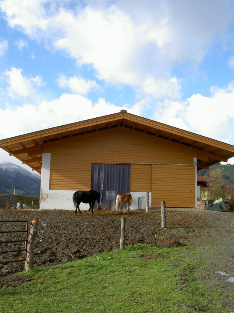Holzbau in Piesendorf mit Pferden vor einem modernen landwirtschaftlichen Gebäude.